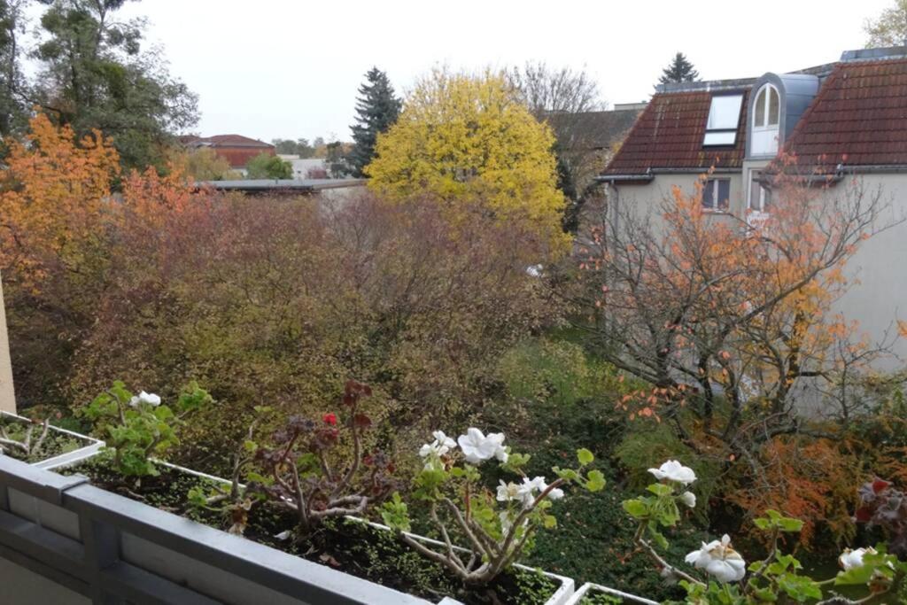 Schoene, Ruhige Wohnung In Berlin-Steglitz Eksteriør bilde